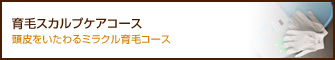 育毛スカルプケアコース