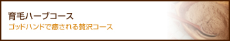 育毛ハーブコース