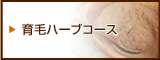 育毛ハーブコース