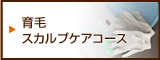 育毛スカルプケアコース